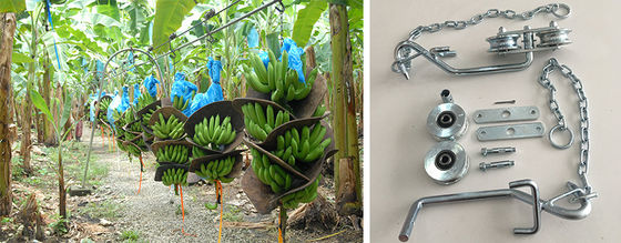 Polias do rolo do trole da exploração agrícola da banana da prata do zinco do rolo do cabo aéreo da banana do ferro