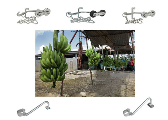 a banana 150kg-220KG engancha rolos de suspensão para o equipamento de transporte fácil